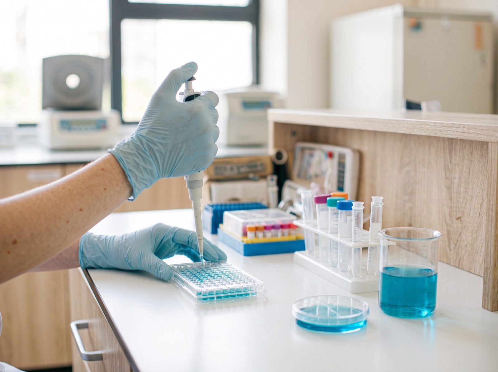 Hands in nitrile gloves handling a multi-well microplate on a laboratory bench